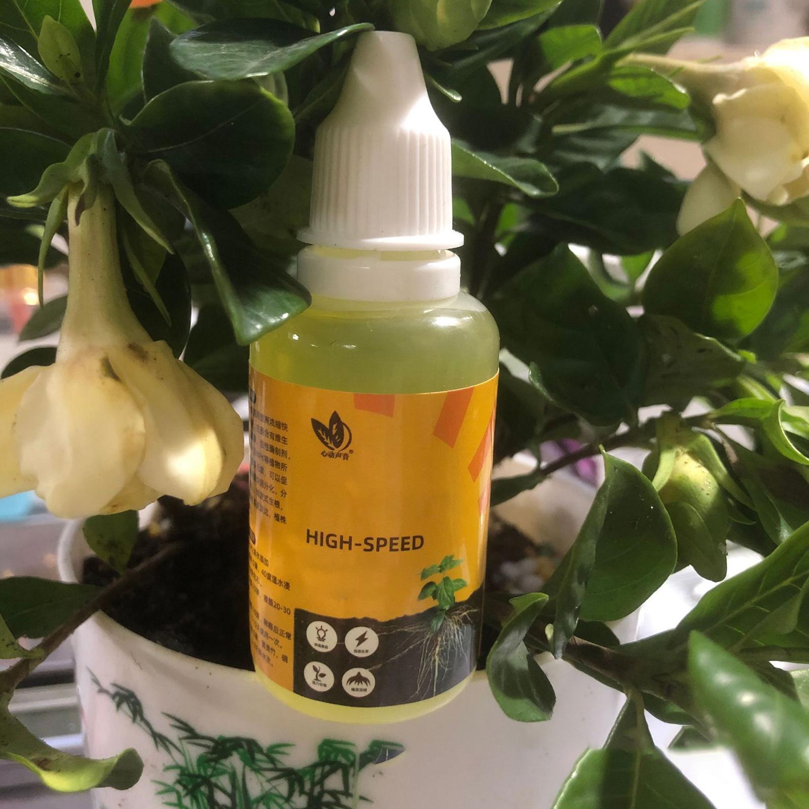 Solución de Enraizamiento Rápi - Root Stimulator Liquid reseña y precio